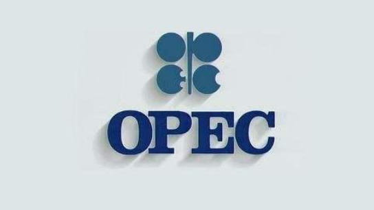 OPEC+“棋高一筹”  油价进入高波动时代